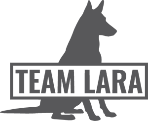 Team Lara Logo Grau
