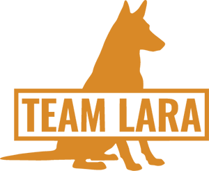 Team Lara Logo Orange